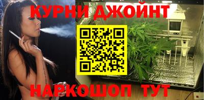 мдпв Ставрополь