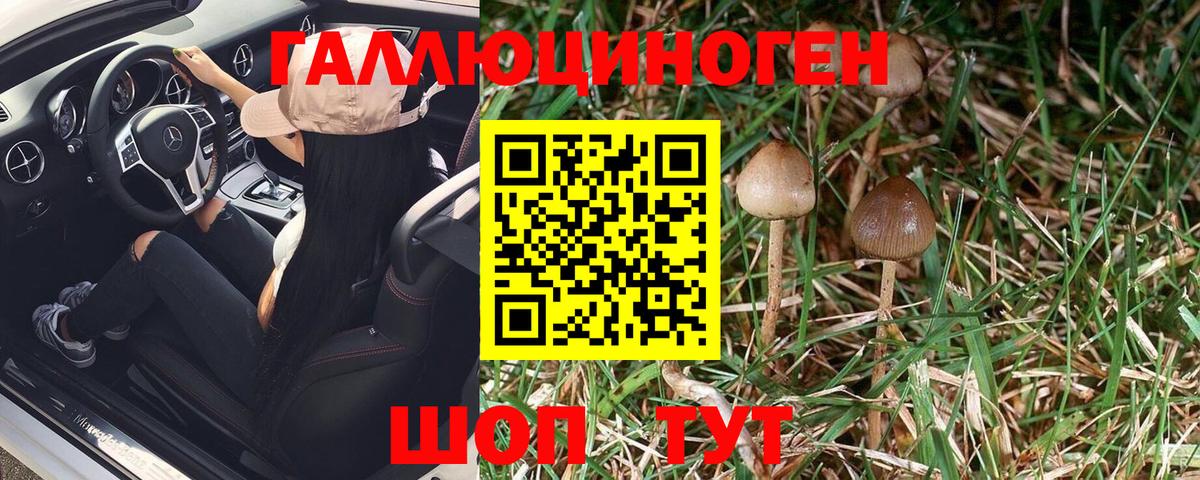 Псилоцибиновые грибы Magic Shrooms Назарово